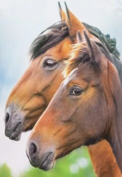 SPRING BLOOM - T-Shirt Print - Pastel Blue -Salt And Pepper d5b81275e9c14b7f8c2c321a3fa78a72