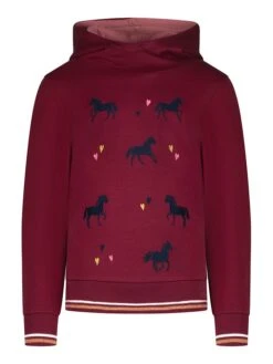 Hoodie In Bordeaux