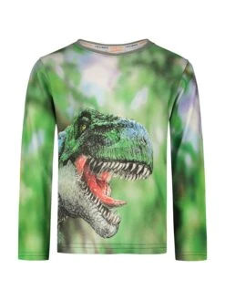 Longsleeve In Grün/ Bunt