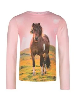 Longsleeve In Rosa/ Bunt