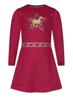 Sweatkleid In Pink/ Bunt