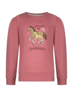 Sweatshirt In Mauve